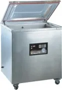 Вакуумный упаковщик CVP-460/2G